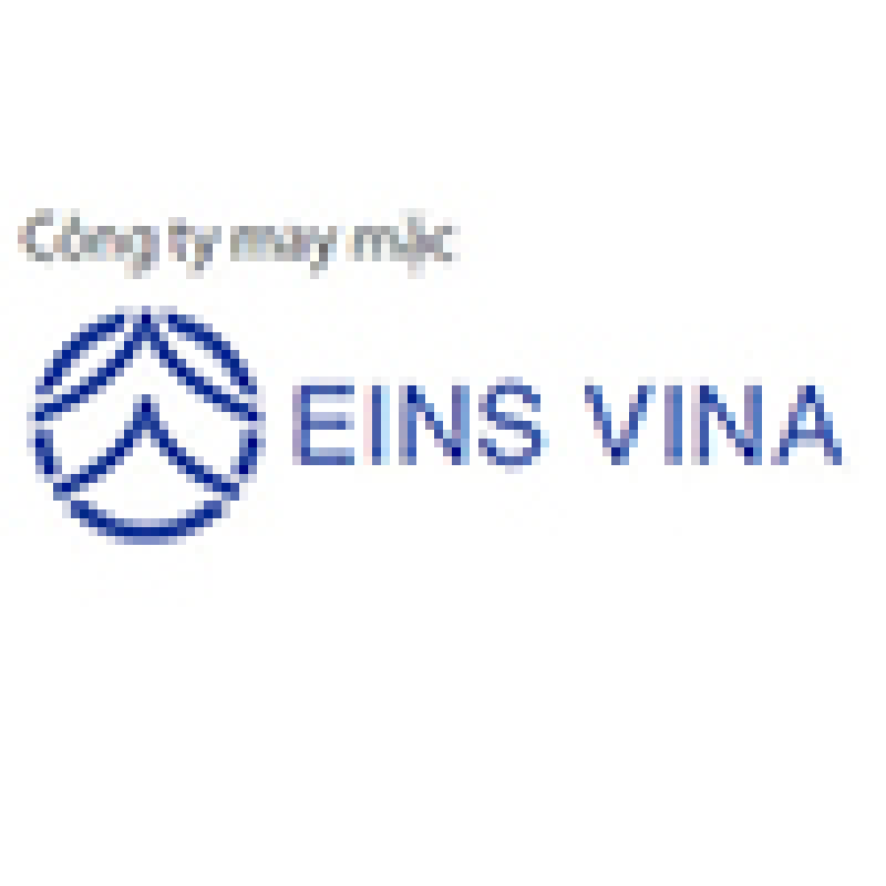 CTY TNHH EINS VINA